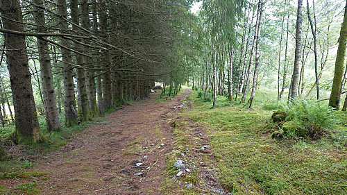 Almost at the main road