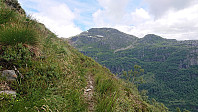 Trail towards Kjerringafjell