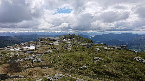Looking back at the summit of Kjerringafjell