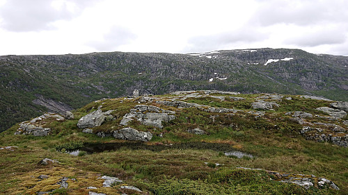 The summit area at Sætrelifjellet