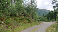 Trail/track starts to the left