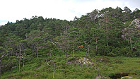 On the way to Såta