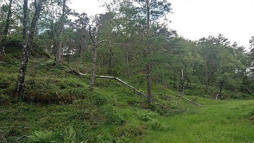 Approaching the summit