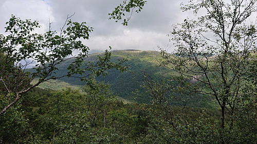 Burlifjellet from Såta