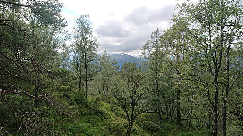 Sveningen from west of the summit of Såta