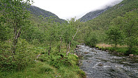 Trail up Øyadalen