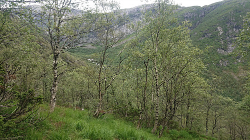 Trail down Brattbrekka
