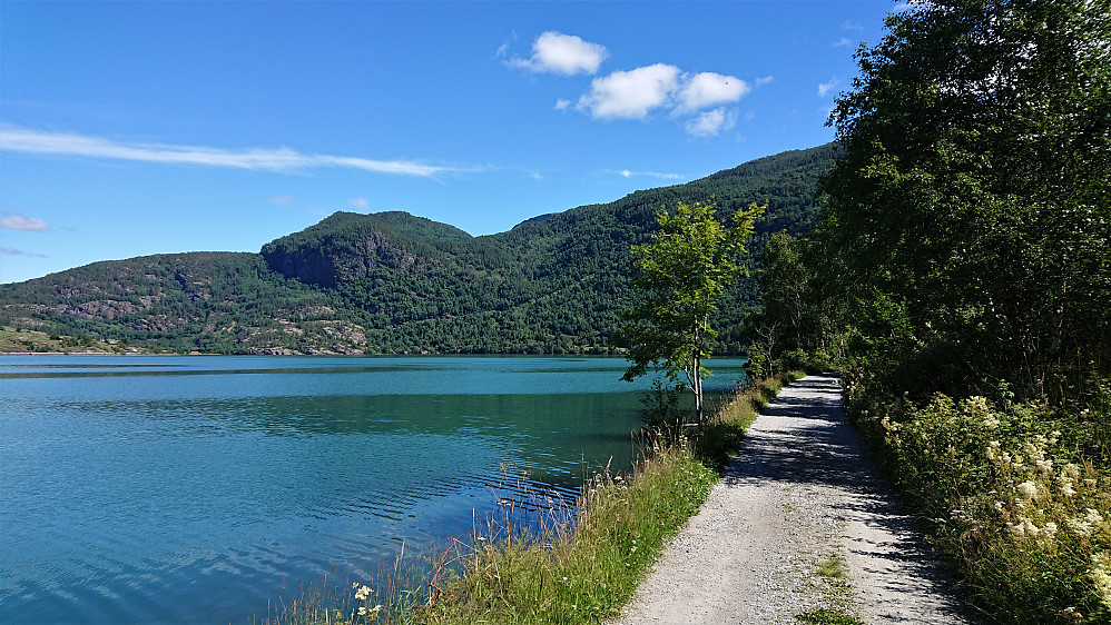 Walking along Barsnesfjorden. Romnaholten to the left.