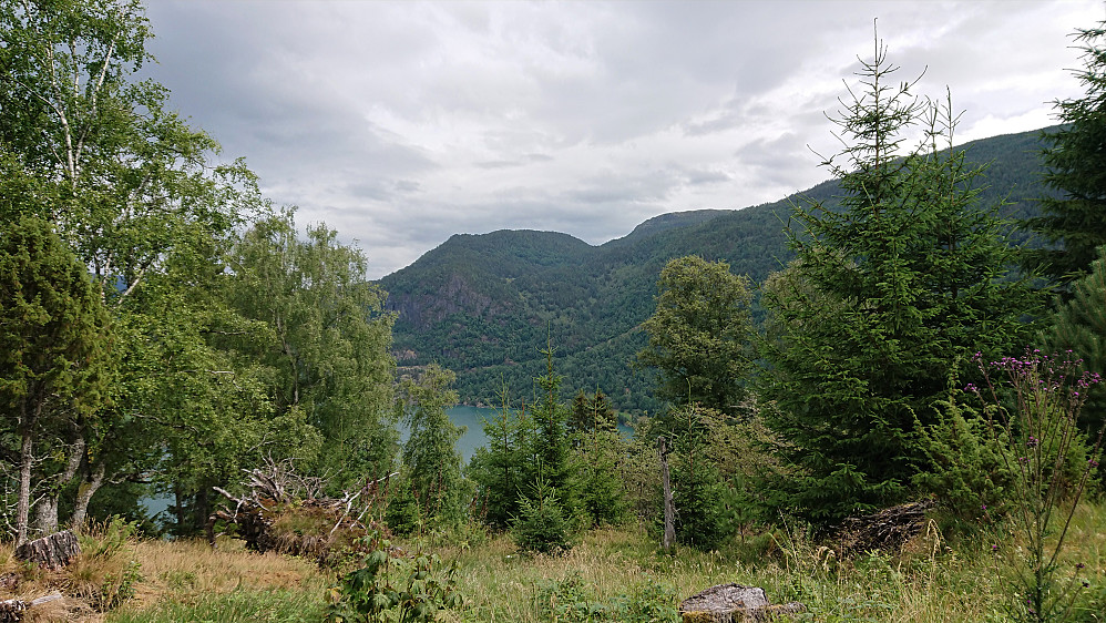 View towards Barsnesfjorden and Romnaholten from the start of the tractor road used on the descent