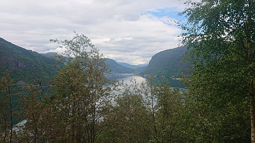 Looking back towards Barsnes from the gravel road