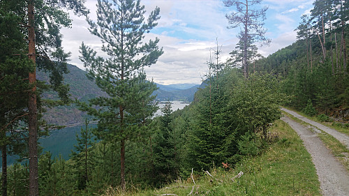 Looking back towards Barsnes from the gravel road