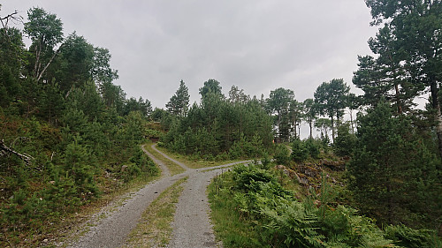 The end of the gravel road at Øygarden