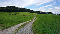 Lauvåsvegen to Skjønhammar