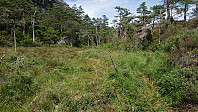Wet trail to Høgafjellet