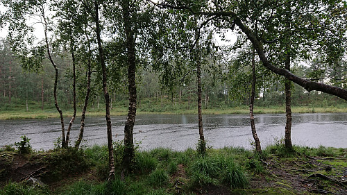 Waiting for the rain to stop at Munkegrind