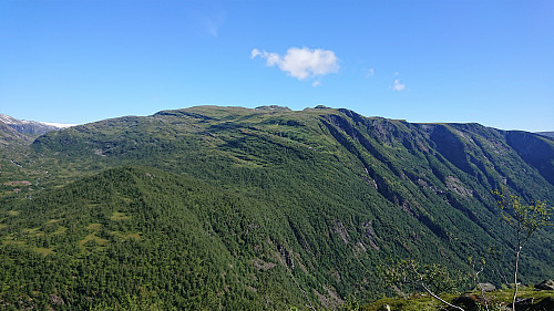 Kattøyro from the ascent