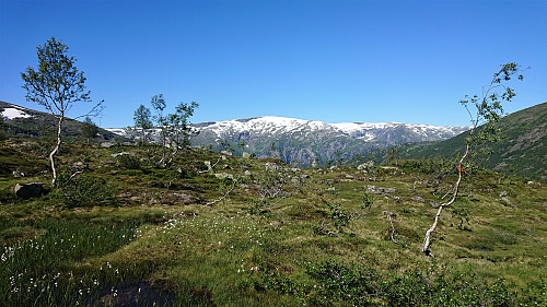 Towards Jostedalsbreen from the ascent