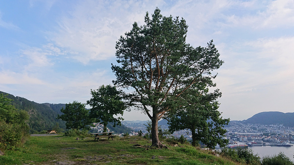 Sandviksbatteriet