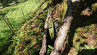 Hatlehaug descent part 2