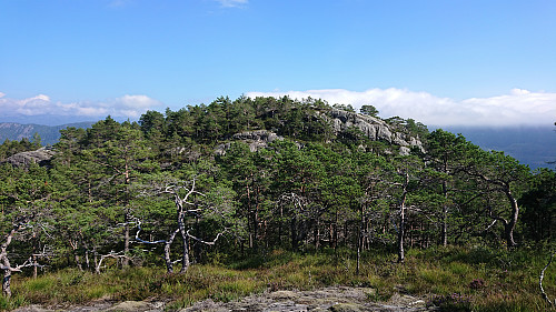 The summit from the west