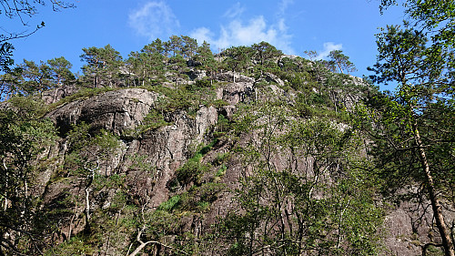 The summit from the west