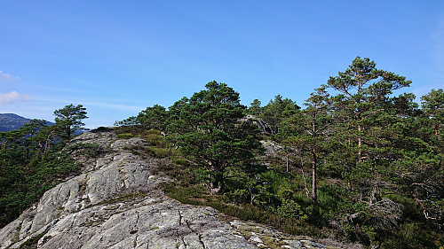 Approaching the summit
