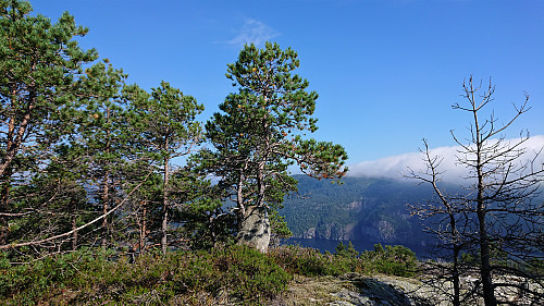 The summit of Storgjelsknausen
