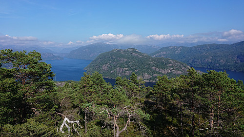 Verafjellet from Storgjelsknausen