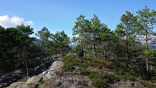 The summit of Storgjelsknausen
