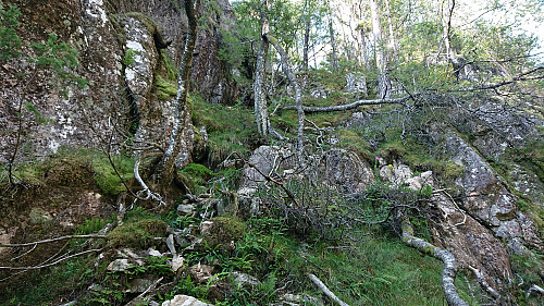 The steep ascent back up to the hill west of the summit (steeper than it looks)