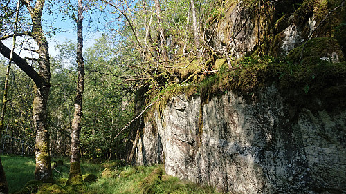 The hidden entry for the ascent back up to Hatlehaugen