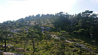 From the ascent