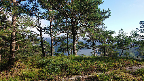 Hokøy Sørtoppen