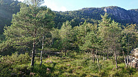 Towards Verafjellet