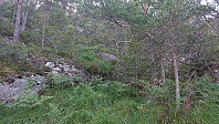 Typical terrain towards Verafjellet