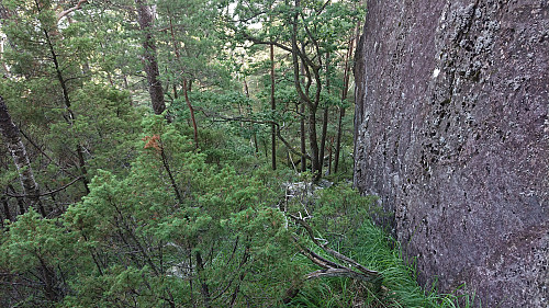 Looking back at the key section