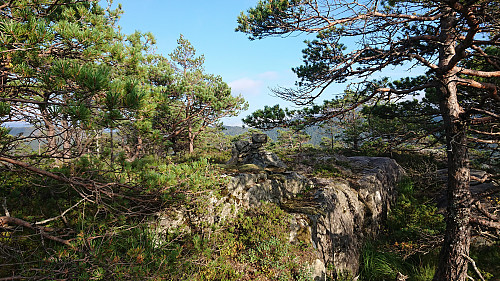 The summit of Verafjellet