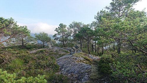 The summit of Verafjellet