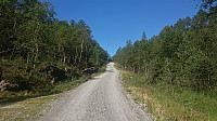 On the way to Sætravatnet