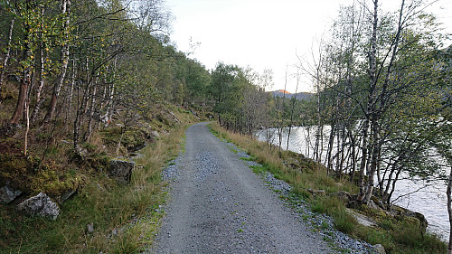 The gravel road along Botnavatnet