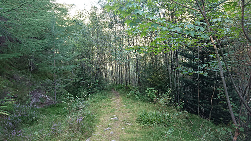 The end of the road at Karistølen