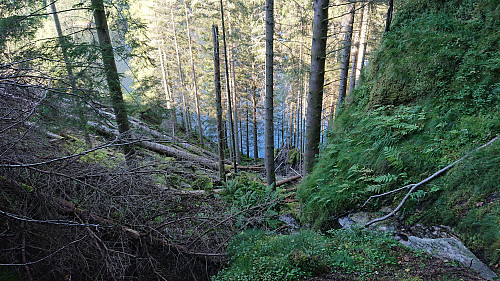 The end of the trail north/northeast of Karistølen