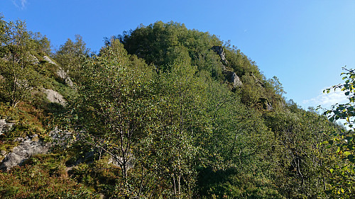 Ulrikseggen