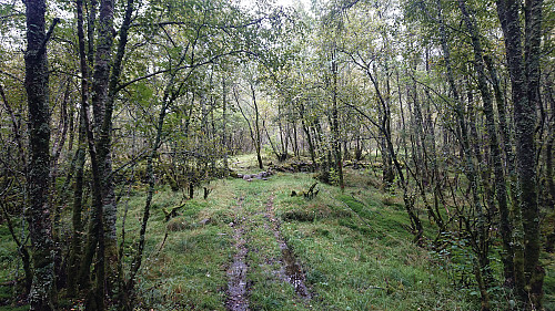Old road towards Haugane