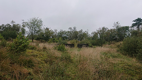 Looking back at Haugane