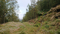The unmarked trailhead