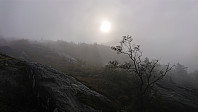 On the trail to Kikenosi