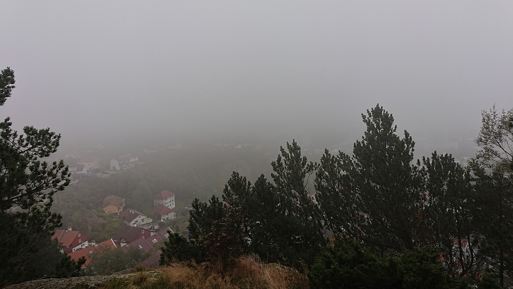 Limited views from Furukammen today