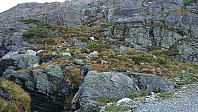 The marked trailhead