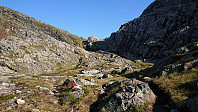 Austra Trongasmoget